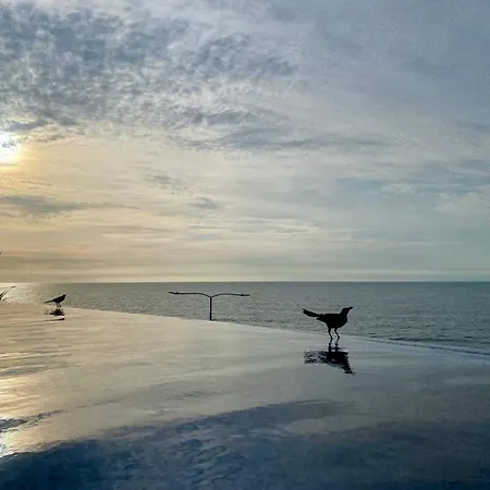 Ikigai Frente Al Mar Con Piscina Infinita Y Gym Apartamento Cartagena